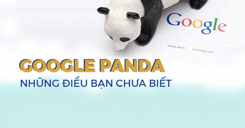 Một vài nguyên nhân khiến website của bạn bị phạt Panda